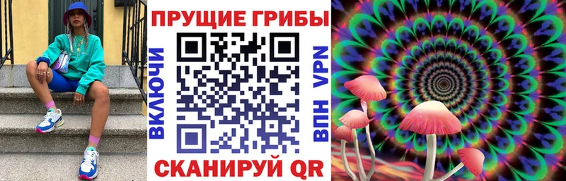 Псилоцибиновые грибы GOLDEN TEACHER  ОМГ ОМГ как зайти  Цимлянск 
